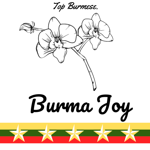 Burma Joy logo